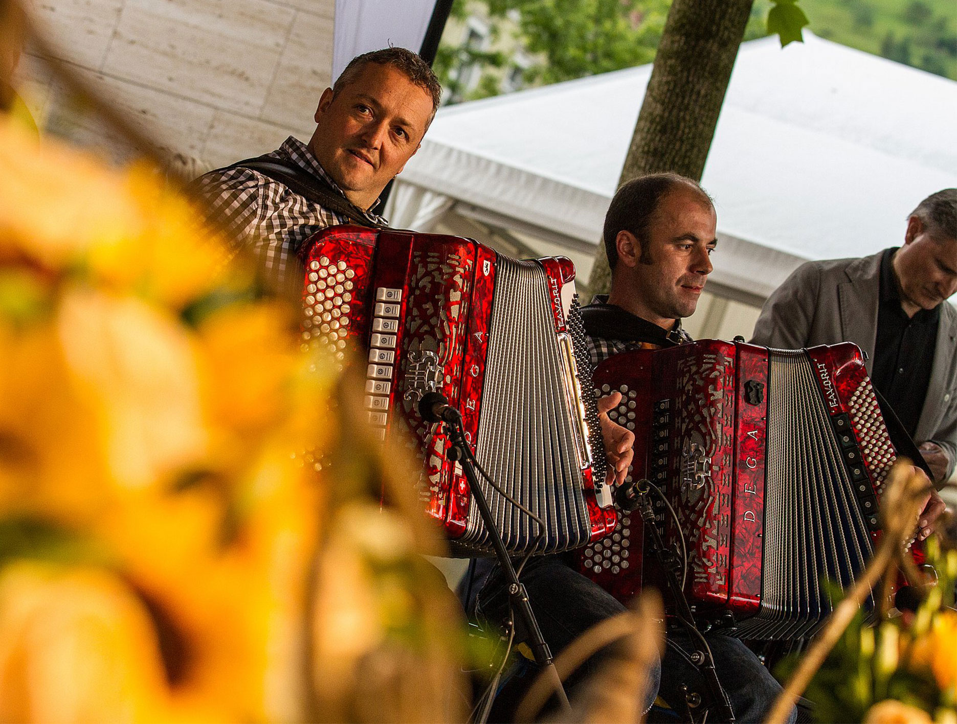 Heirassa-2016-8286_2000x1333