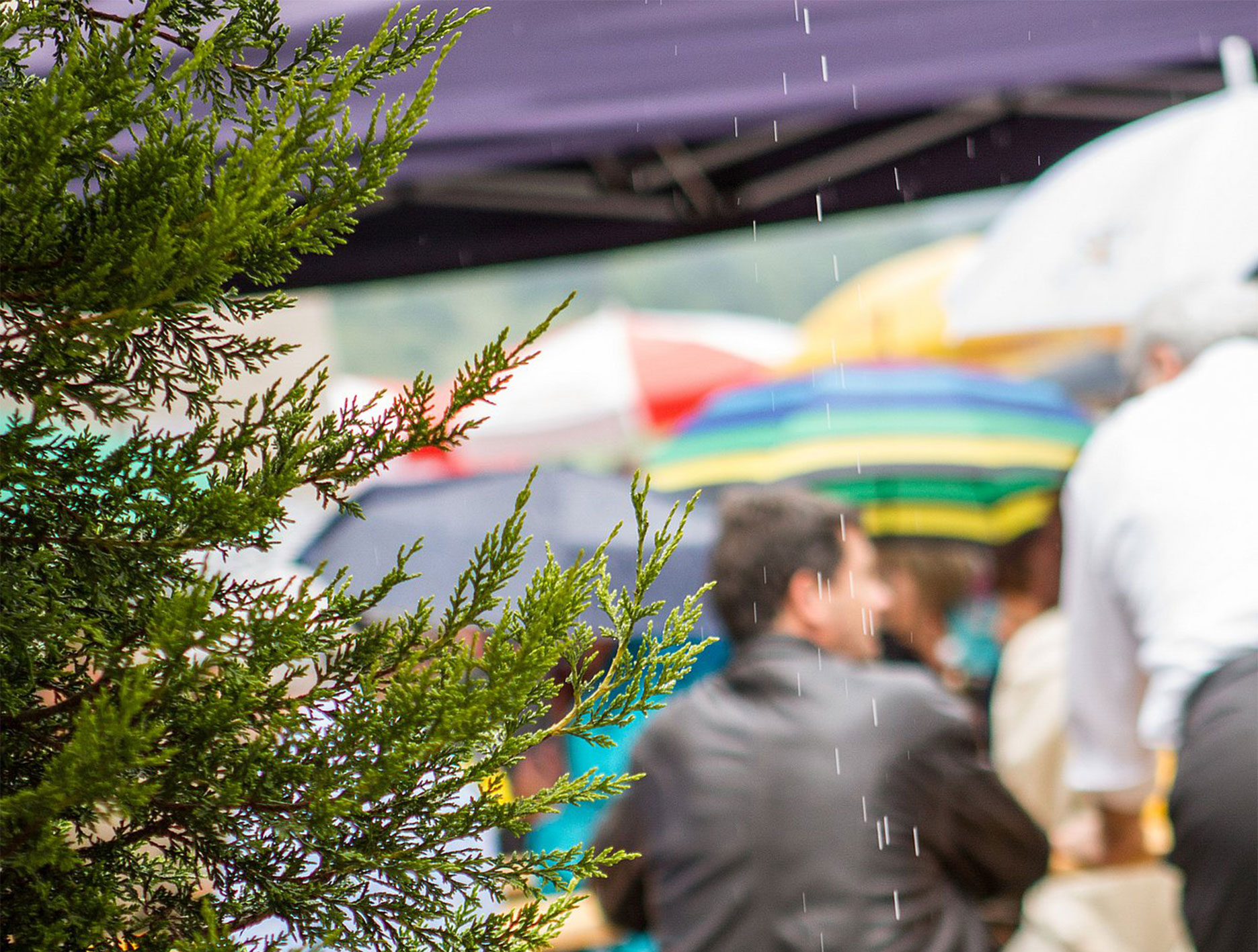 Heirassa-2016-8941_1333x2000