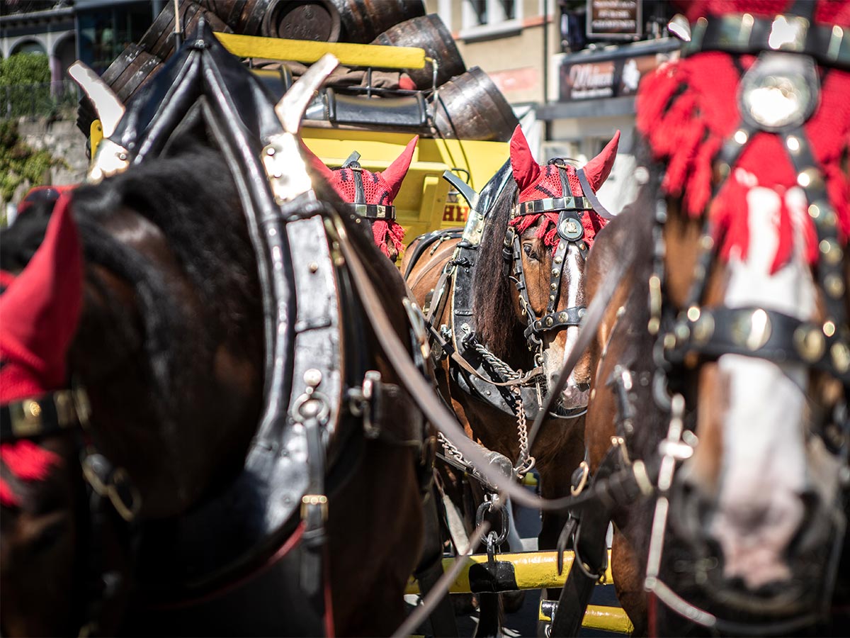 heirassa-festival_20190602_05